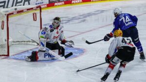 Eishockeyspieler der Adler Mannheim jubeln über ein Tor gegen die Fischtown Pinguins Bremerhaven in den DEL-Playoffs.