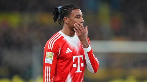 Montage von Michael Olise im Trikot des FC Bayern und Cody Gakpo im Trikot des FC Liverpool