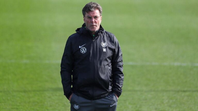 Trainer Dieter Hecking am Spielfeldrand beim VfL Wolfsburg in der Bundesliga