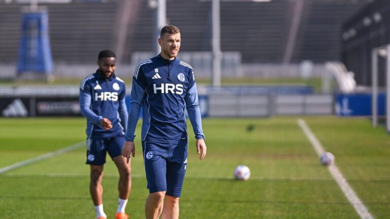 Edin Dzeko im Trikot des FC Schalke 04 auf dem Trainingsplatz