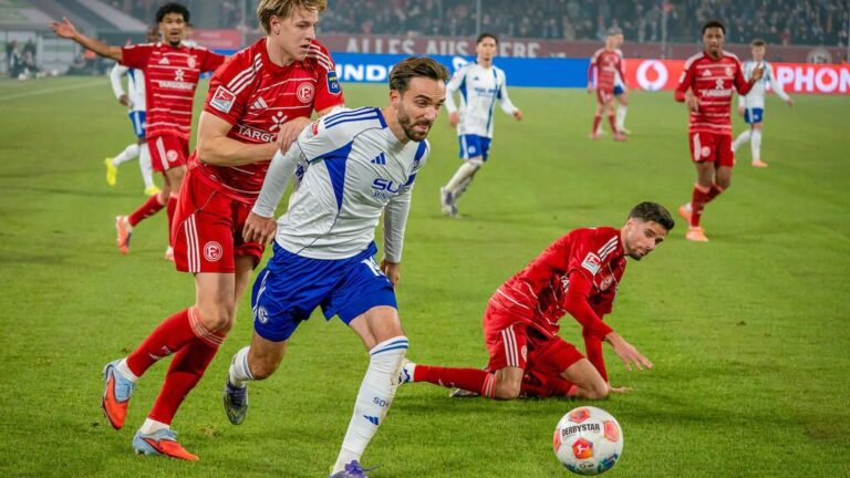 Schalke 04 Spieler jubeln gemeinsam auf dem Rasen der Veltins-Arena