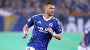 Stürmer Edin Dzeko im Trikot des FC Schalke 04 bejubelt auf dem Spielfeld den Aufstieg
