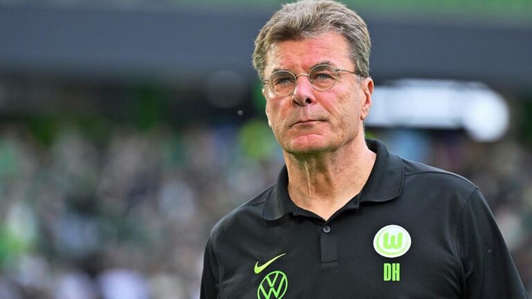Trainer Dieter Hecking vom VfL Wolfsburg blickt konzentriert vom Spielfeldrand