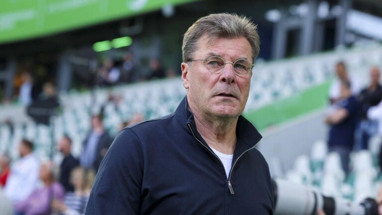 Trainer Dieter Hecking vom VfL Wolfsburg steht gestikulierend und fokussiert an der Seitenlinie