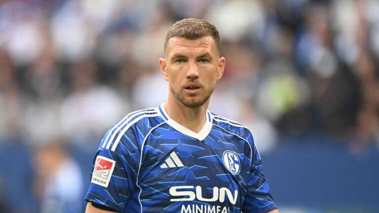 Edin Dzeko im Trikot von Schalke 04 blickt konzentriert auf dem Spielfeld