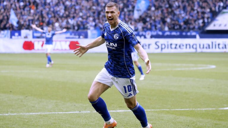 Stürmer Edin Dzeko im Trikot des FC Schalke 04 mit der Rückennummer 10 bei einem Spieljubel